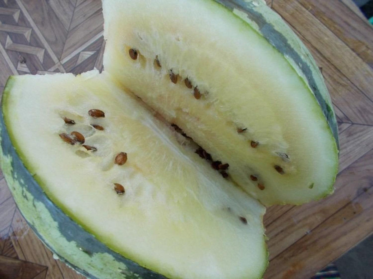 White Sugar Lump Watermelon Rare Super Sweet 35+ Seeds - Perfect for P ...